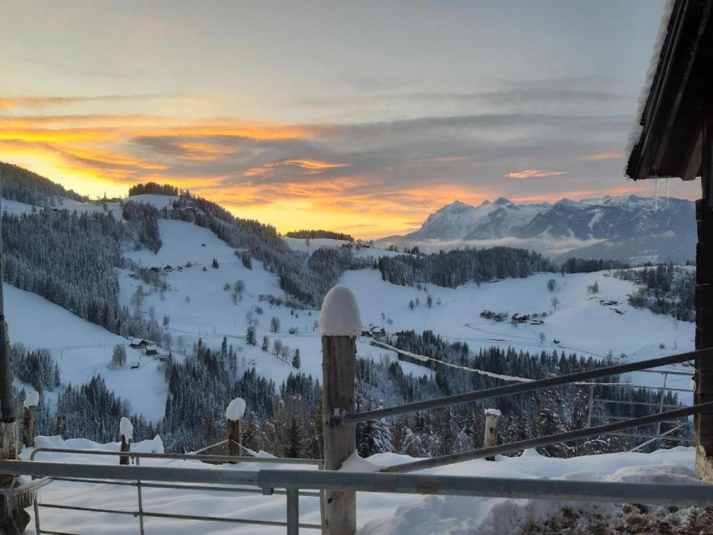 Chalet Leo Michaelerberg 外观 照片
