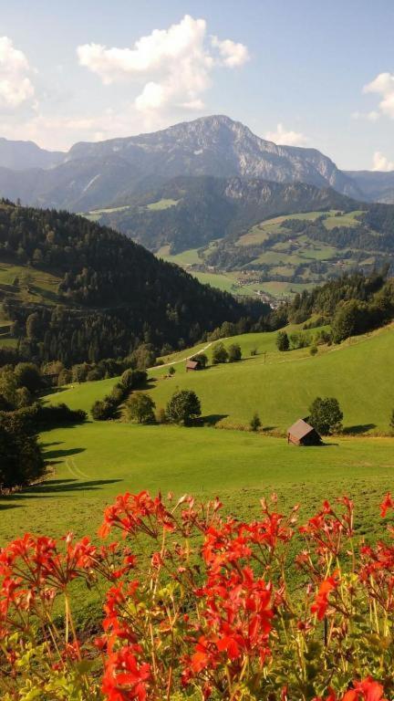 Chalet Leo Michaelerberg 外观 照片
