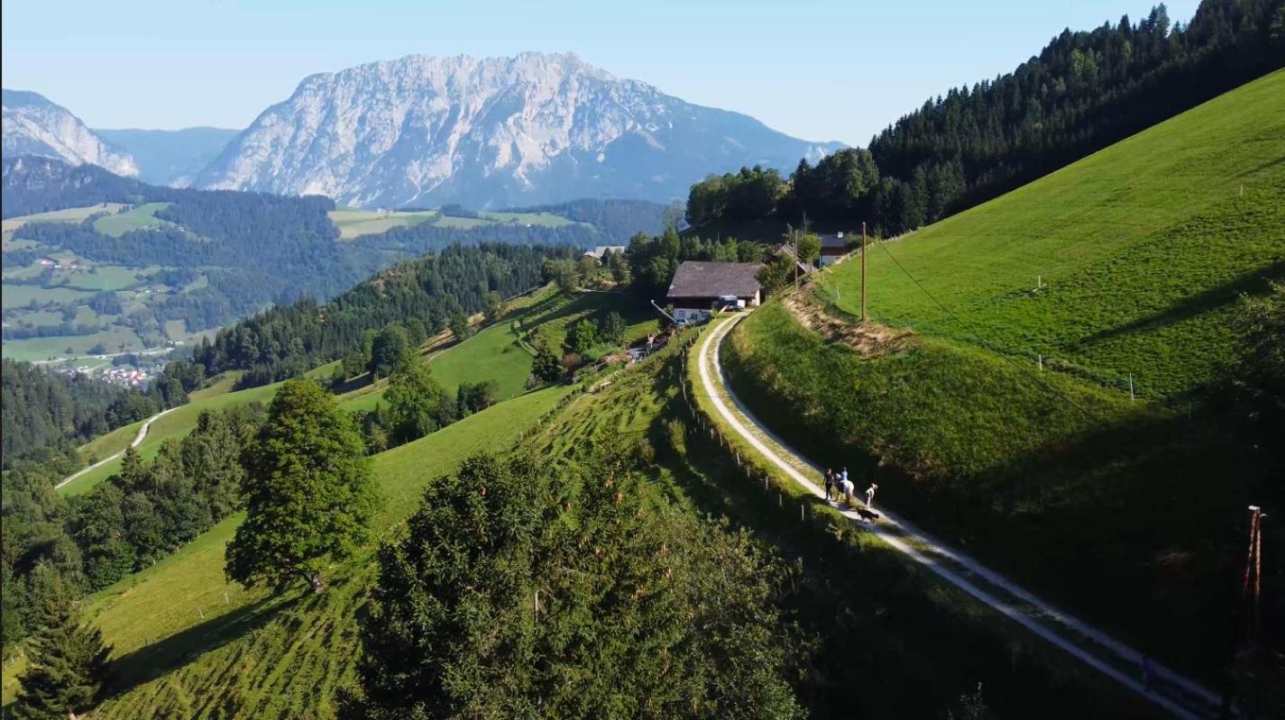 Chalet Leo Michaelerberg 外观 照片