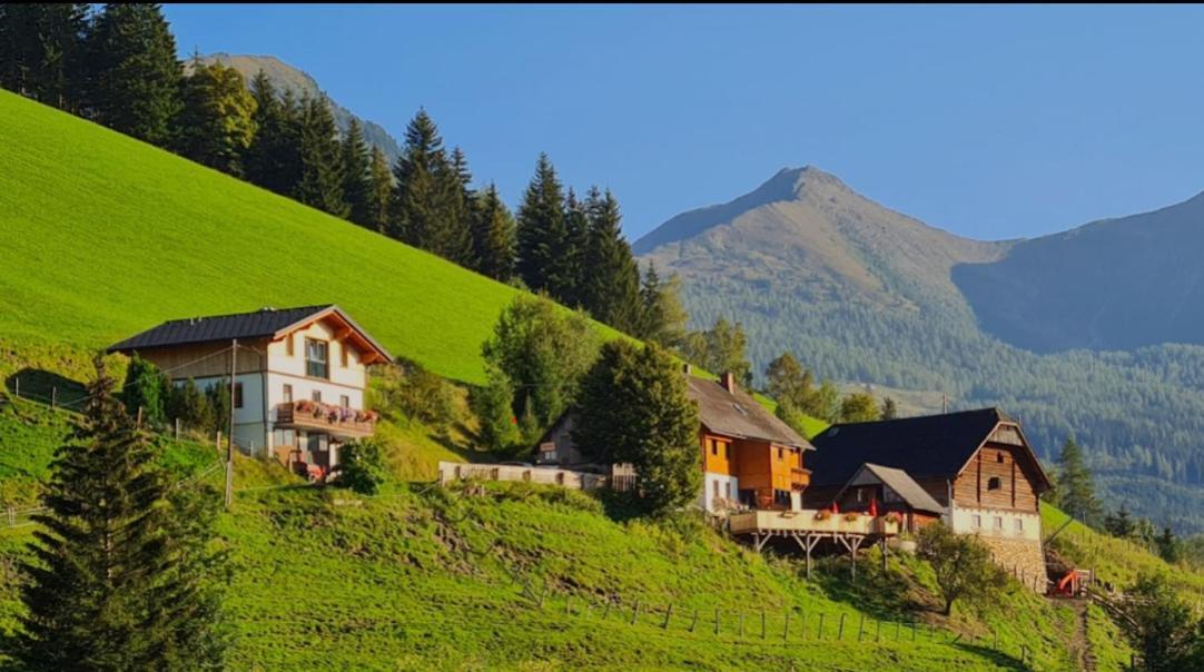 Chalet Leo Michaelerberg 外观 照片